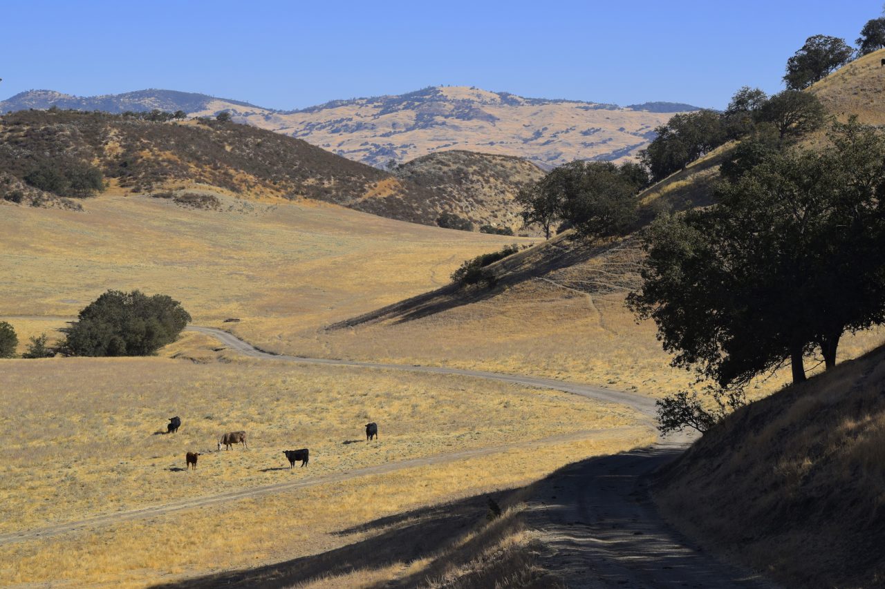 Freeman Ranch California Outdoor Properties