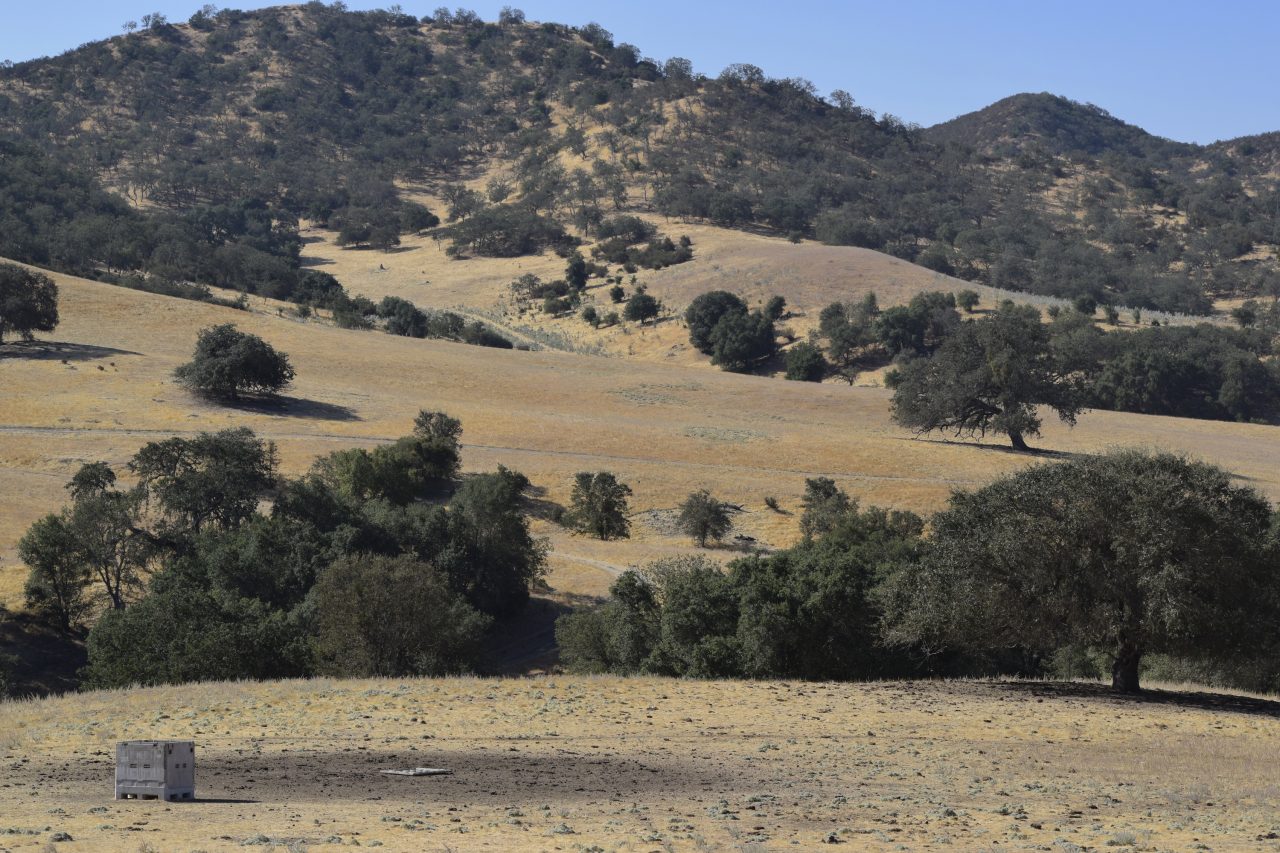 Freeman Ranch California Outdoor Properties