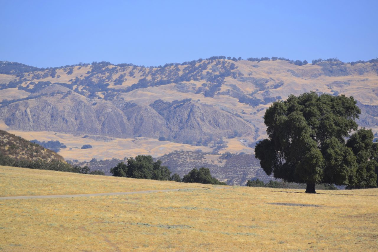 Freeman Ranch California Outdoor Properties