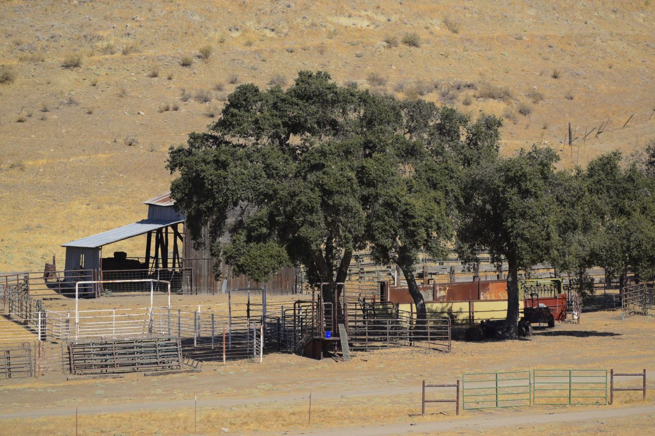 Freeman Ranch California Outdoor Properties