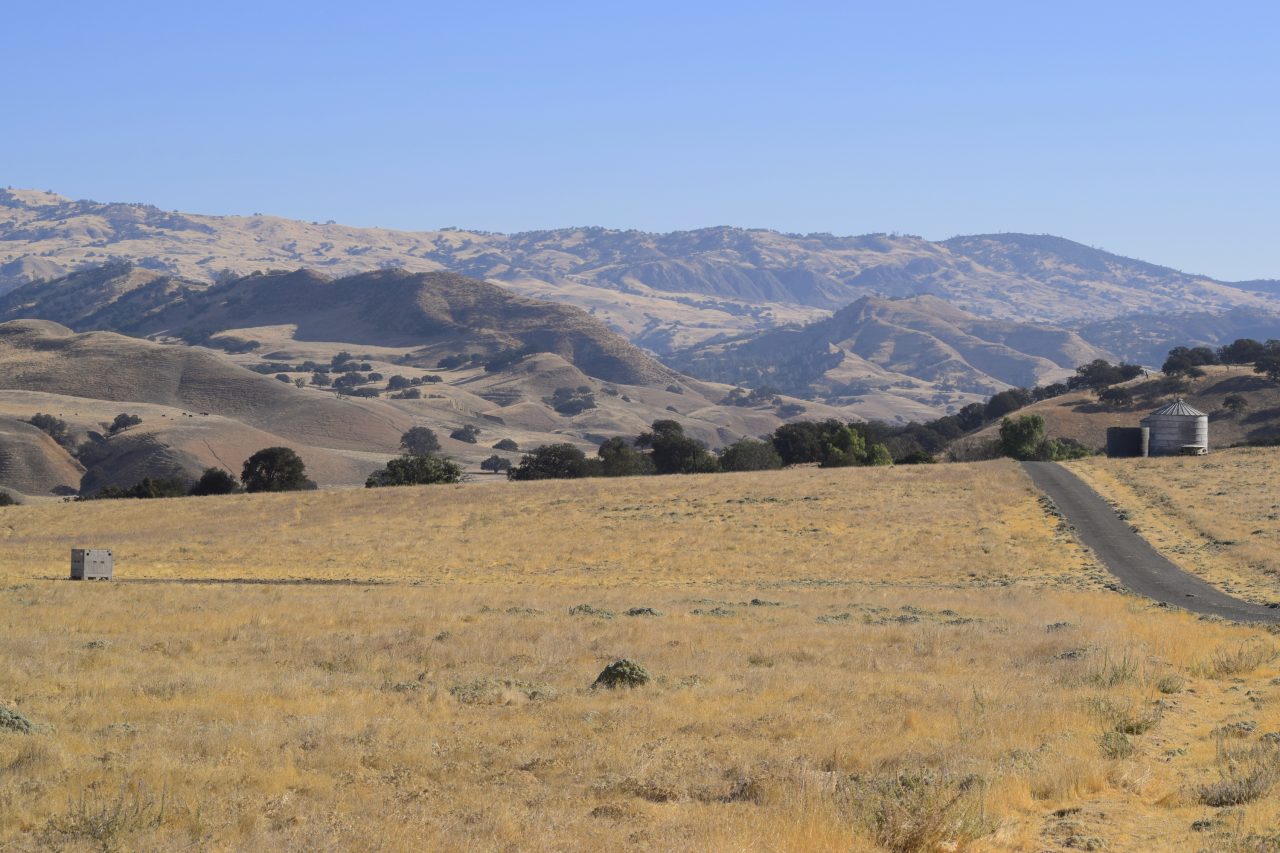 Freeman Ranch California Outdoor Properties
