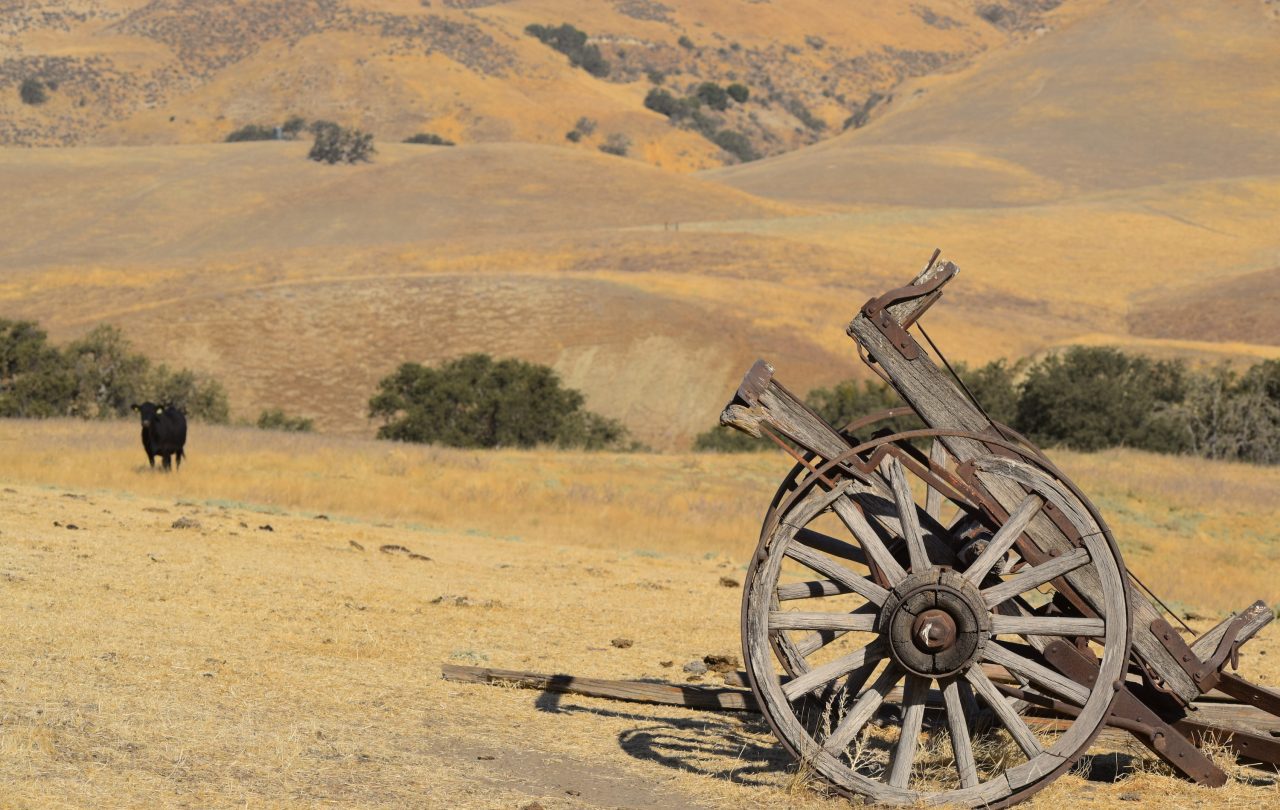 Freeman Ranch California Outdoor Properties