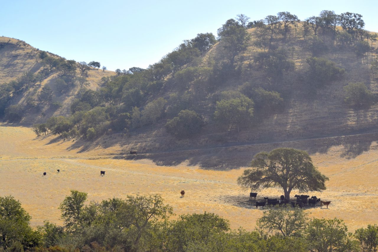 Freeman Ranch California Outdoor Properties