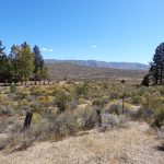 Photo 19 for Pine Grove Ranch