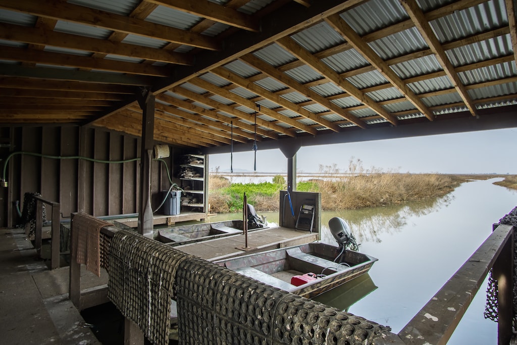 Marshview Duck Club - California Outdoor Properties