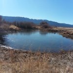 Photo 8 for Susan River Irrigated Pasture