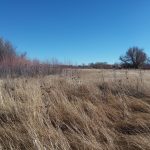 Photo 11 for Susan River Irrigated Pasture