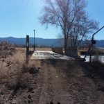 Photo 5 for Susan River Irrigated Pasture