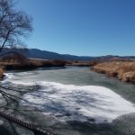 Photo 4 for Susan River Irrigated Pasture