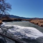 Photo 15 for Susan River Irrigated Pasture