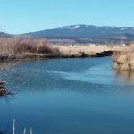 Photo 16 for Susan River Irrigated Pasture