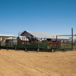 Photo 15 for Hitchings Ranch