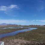 Photo 7 for Organic Alfalfa Ranch