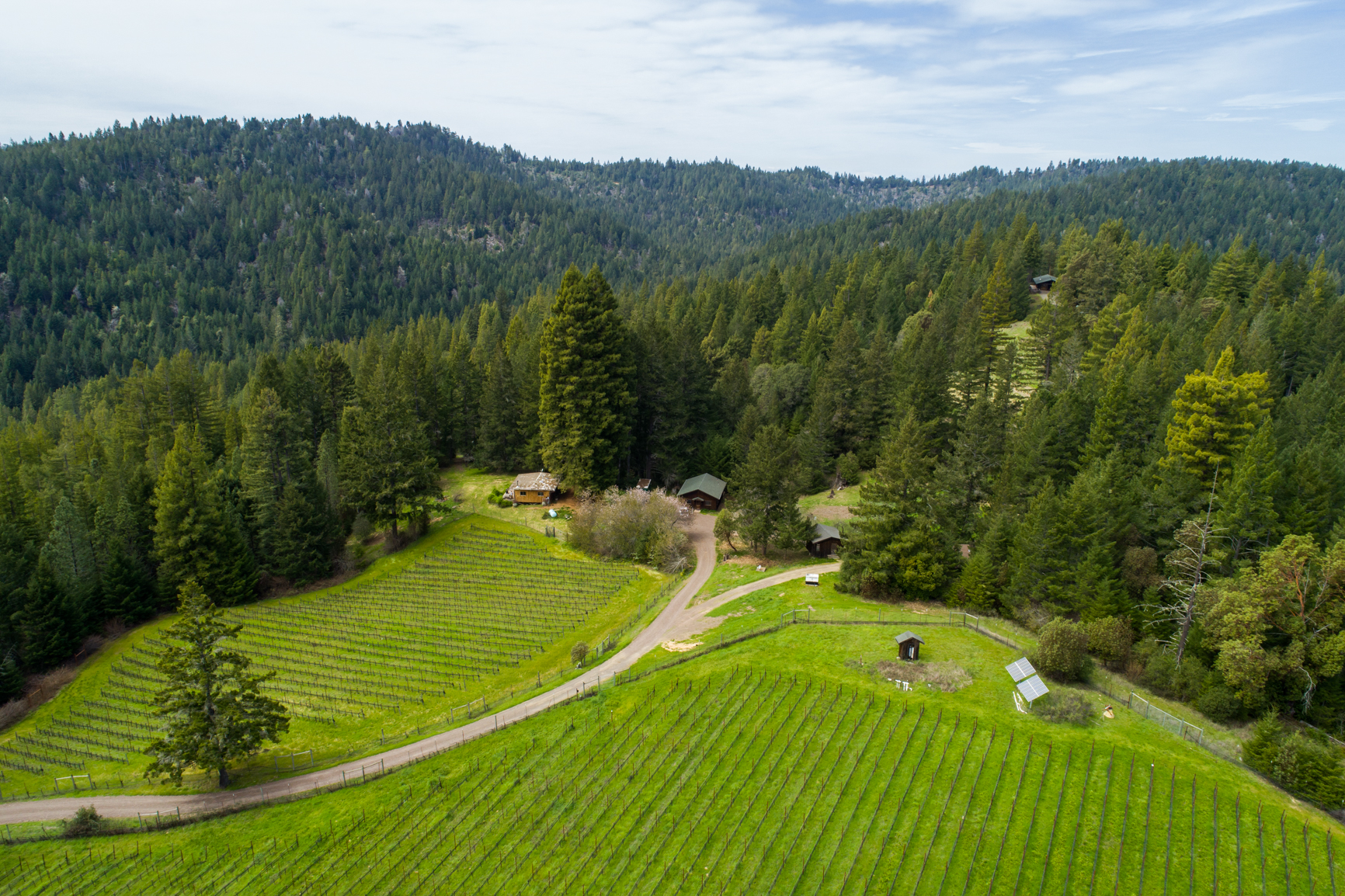 Comptche Ridge Ranch & Vineyard California Outdoor Properties