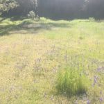 Photo 19 for Capell Valley Ranchette
