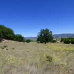 Photo 2 for Wildflower Acres