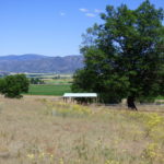 Photo 4 for Wildflower Acres