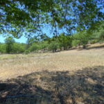 Photo 5 for Wildflower Acres