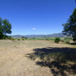 Photo 7 for Wildflower Acres