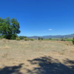 Photo 8 for Wildflower Acres