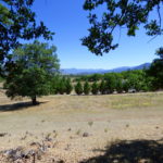Photo 11 for Wildflower Acres