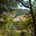 Photo 2 for Buena Vista Ranch