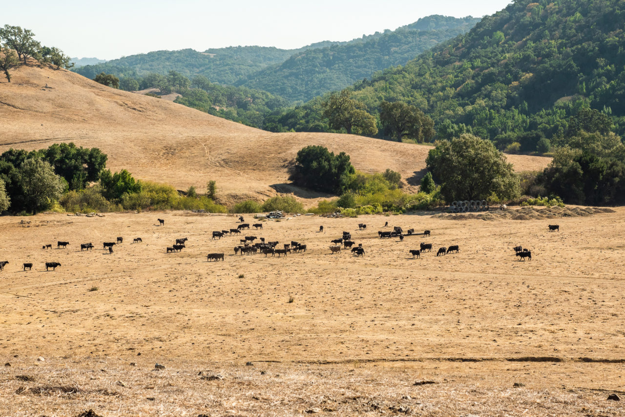 santa rita ranch santa rita ranch