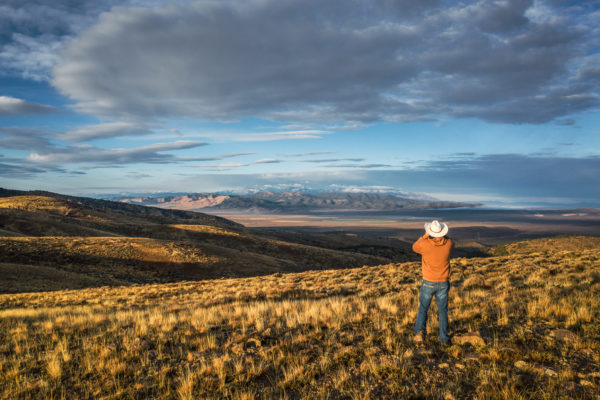 Ca Agricultural Land Ranches For Farm