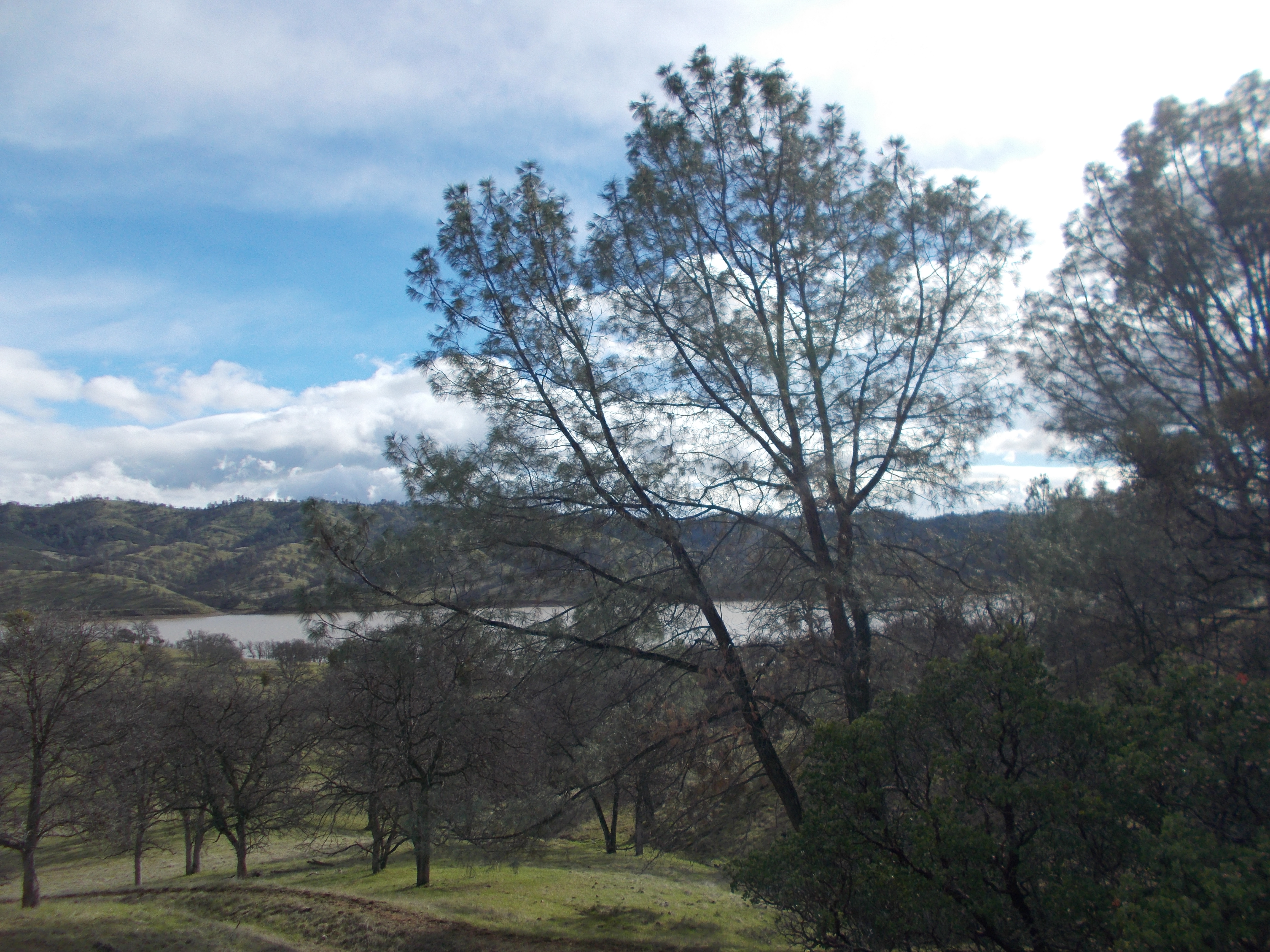 Elk Creek California Outdoor Properties