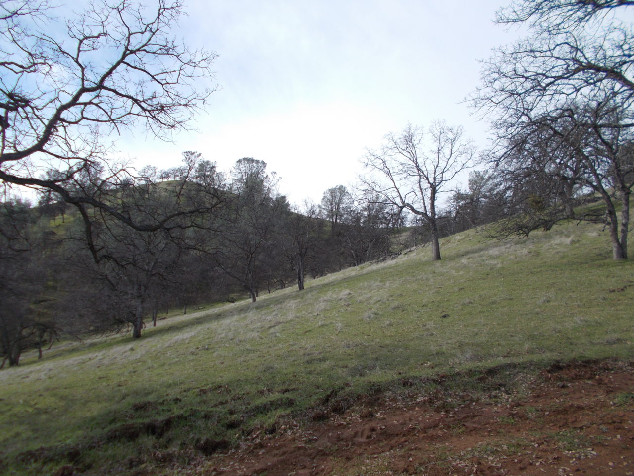 Elk Creek California Outdoor Properties