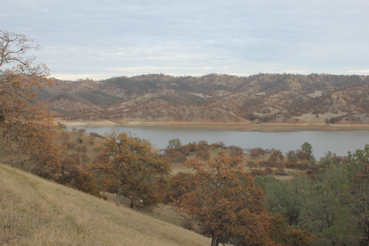 Elk Creek California Outdoor Properties