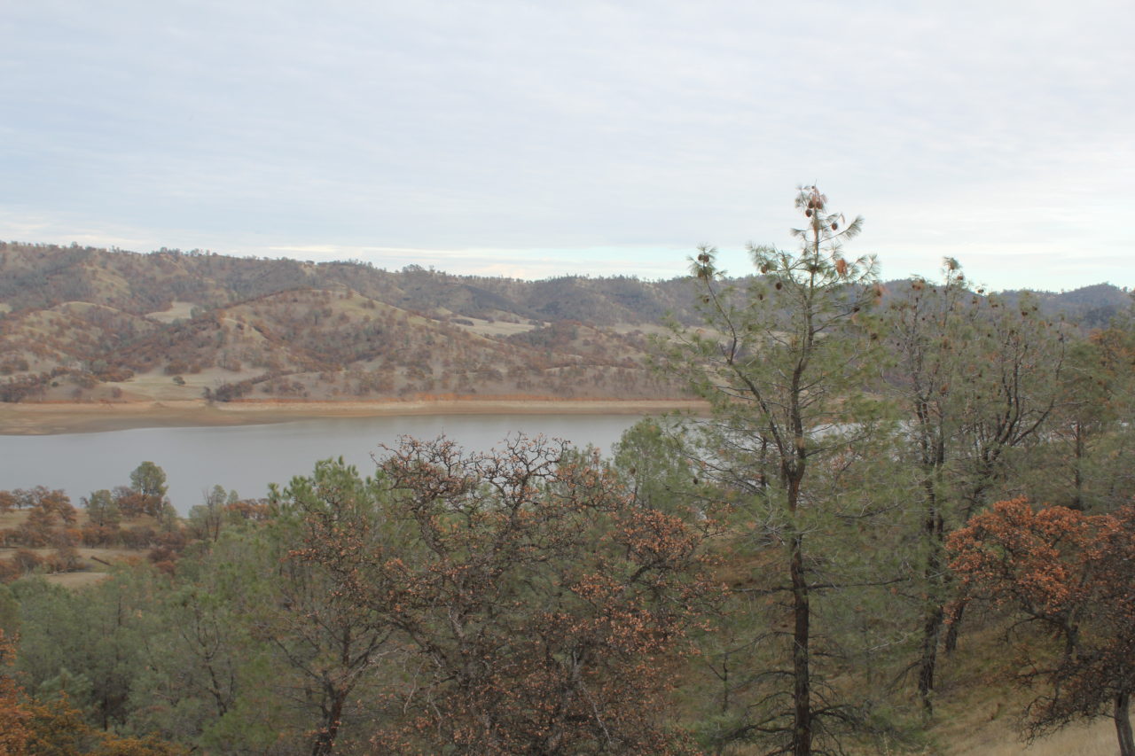 Elk Creek California Outdoor Properties