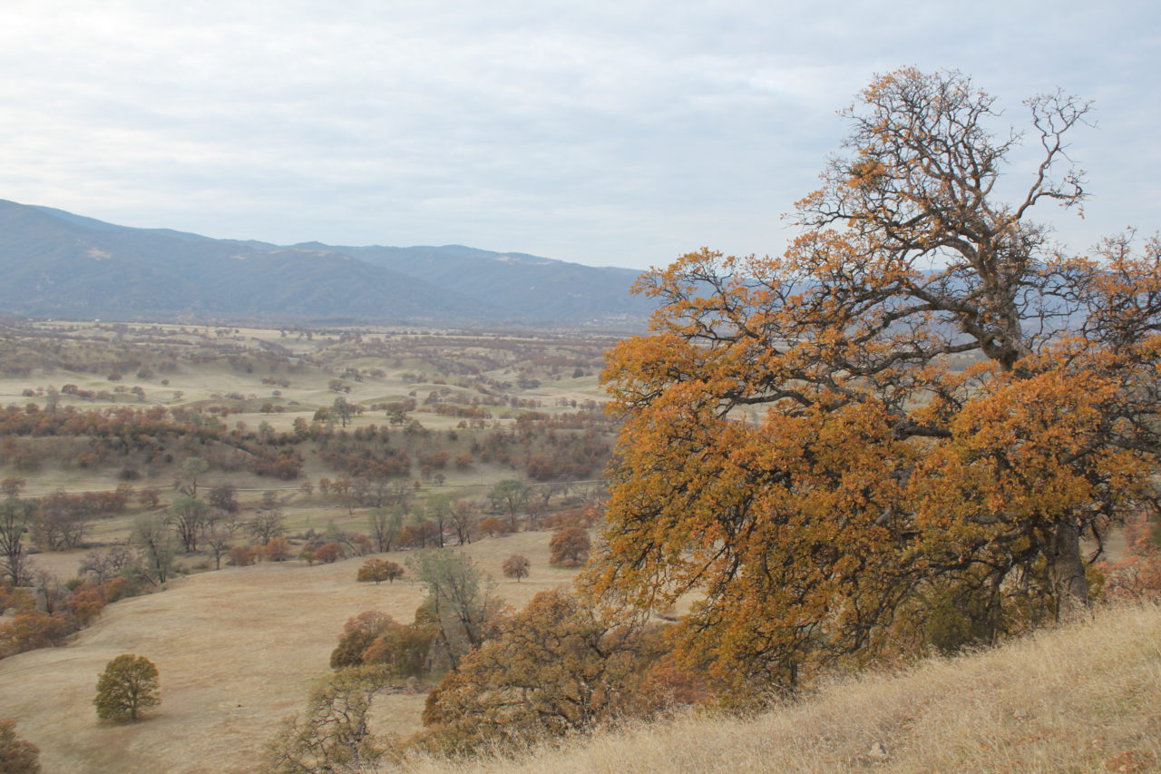 Elk Creek California Outdoor Properties