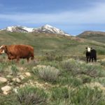 Photo 7 for Lawson Ranch