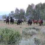 Photo 11 for Lawson Ranch