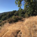 Photo 2 for Tassajara Lands