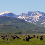Photo 1 for Lawson Ranch