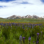 Photo 8 for Lawson Ranch
