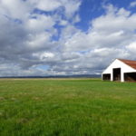 Photo 1 for North Chico Grasslands and Barn