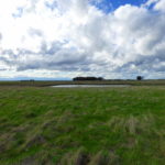 Photo 1 for North Chico Grasslands