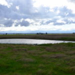 Photo 2 for North Chico Grasslands
