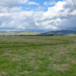 Photo 3 for North Chico Grasslands