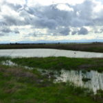 Photo 10 for North Chico Grasslands