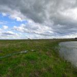 Photo 4 for North Chico Grasslands