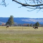 Photo 6 for Whispering Meadows