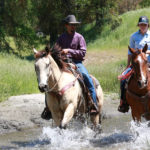 Photo 7 for Eshom Valley Ranch