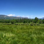 Photo 8 for Eshom Valley Ranch