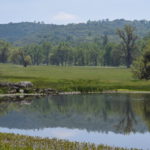 Photo 10 for Eshom Valley Ranch
