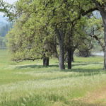 Photo 11 for Eshom Valley Ranch