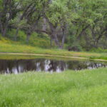 Photo 13 for Eshom Valley Ranch